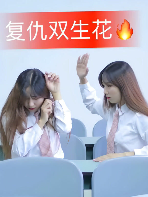 复仇双生花