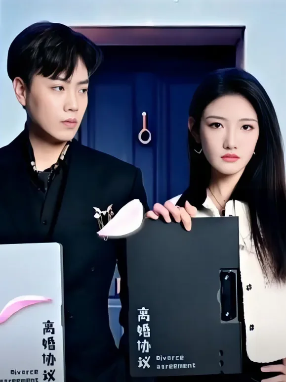 老婆你不可以放弃短剧海报
