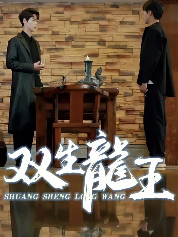 双生龙王短剧海报