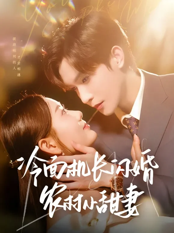 冷面机长闪婚农村小甜妻短剧海报