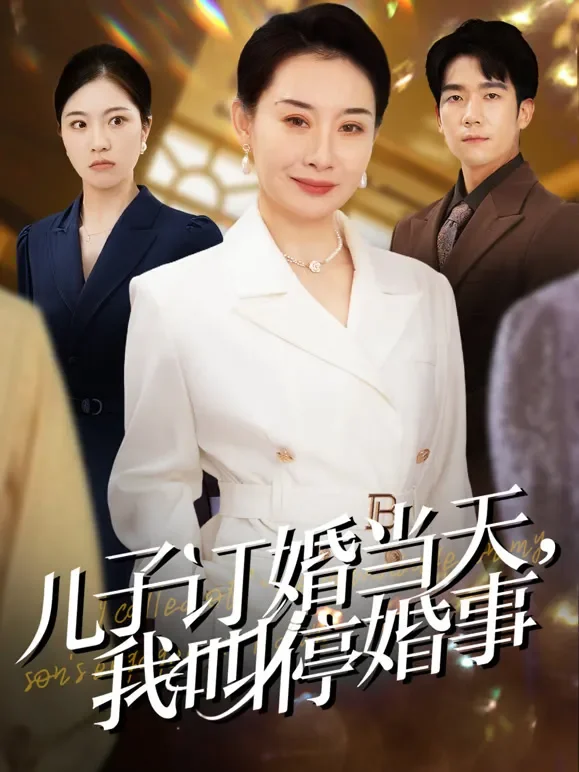 儿子订婚当天，我叫停婚事短剧海报