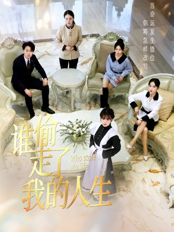 谁偷走了我的人生短剧海报