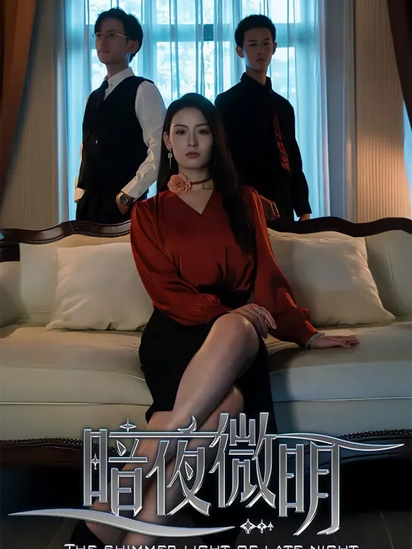 暗夜微明短剧海报