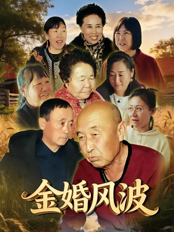 金婚风波短剧海报