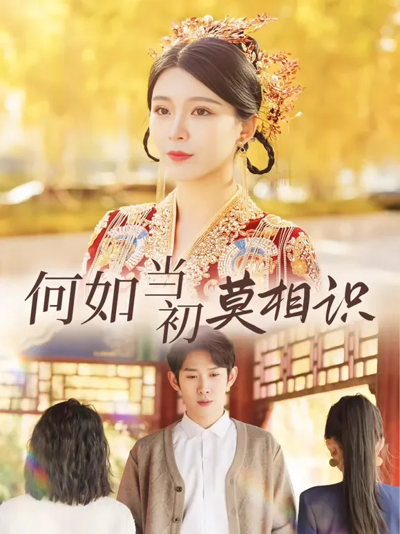 何如当初莫相识短剧海报