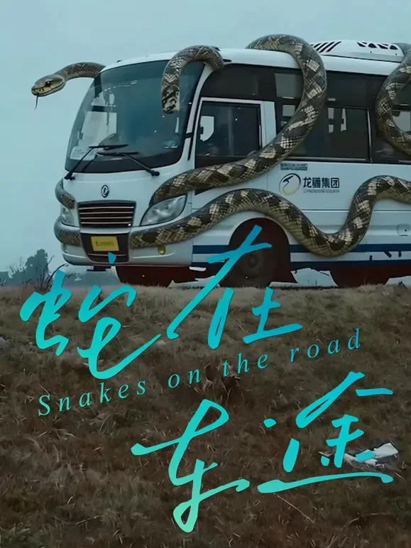 蛇在车途短剧海报
