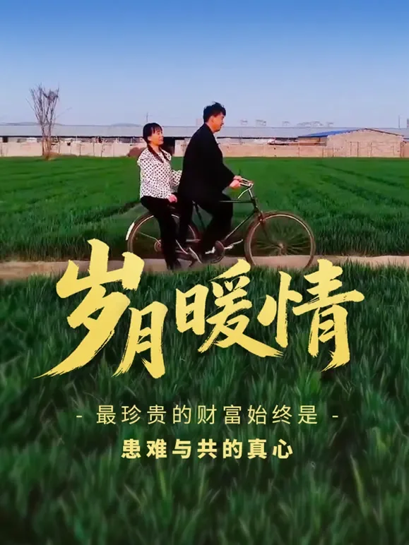 岁月暖情短剧海报