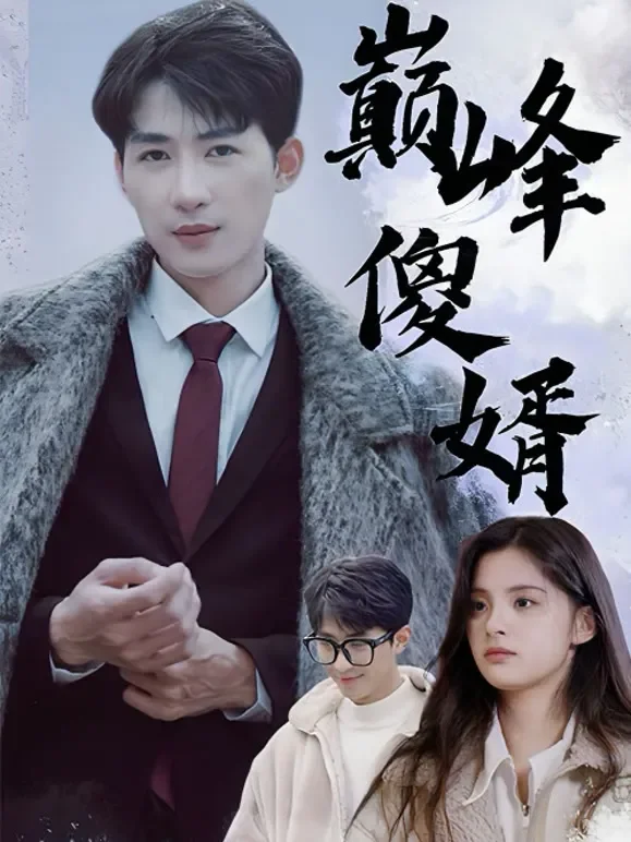 巅峰傻婿短剧海报
