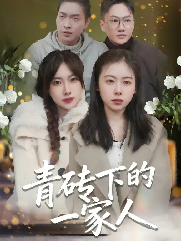 青砖下的一家人短剧海报