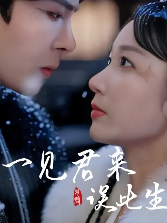 一见君来误此生短剧海报
