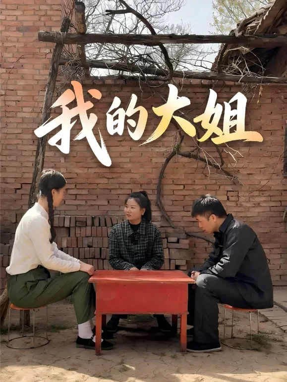 我的大姐短剧海报