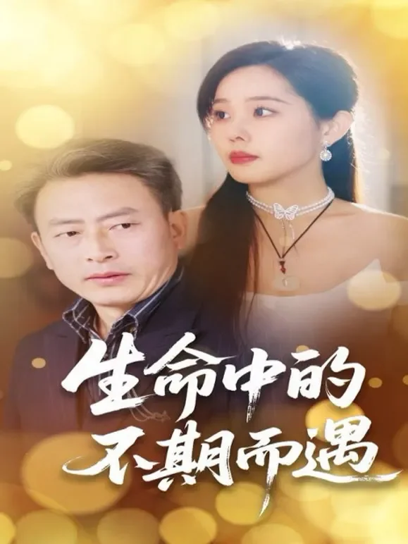 生命中的不期而遇短剧海报