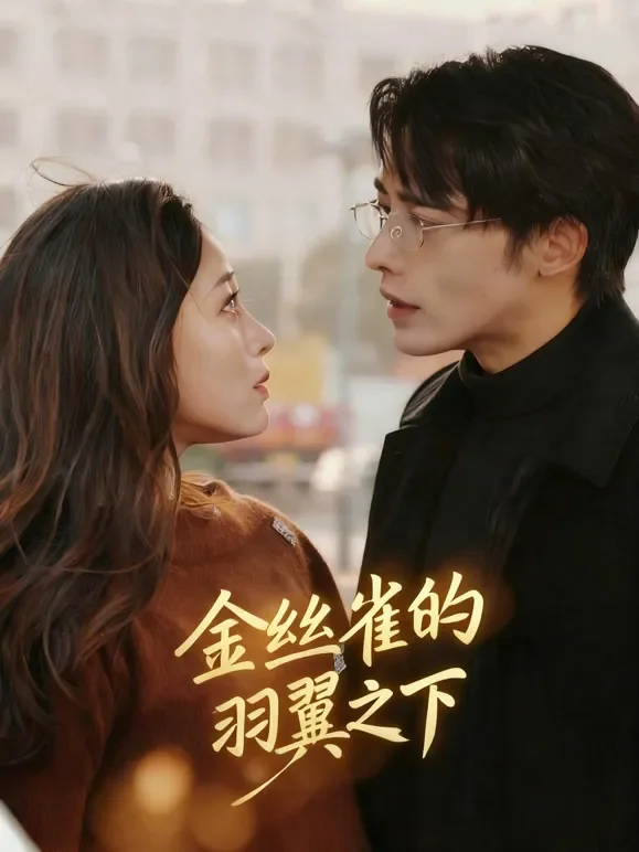 金丝雀的羽翼之下短剧海报