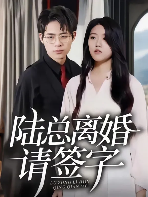 陆总离婚请签字短剧海报