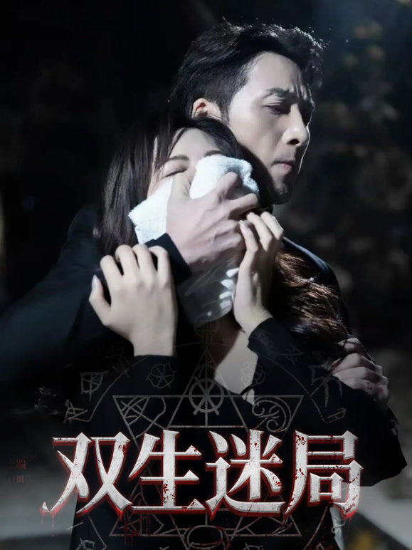 双生：迷局