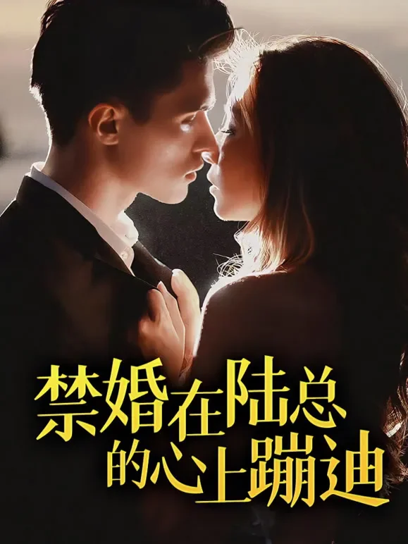 禁婚在陆总的心上蹦迪短剧海报