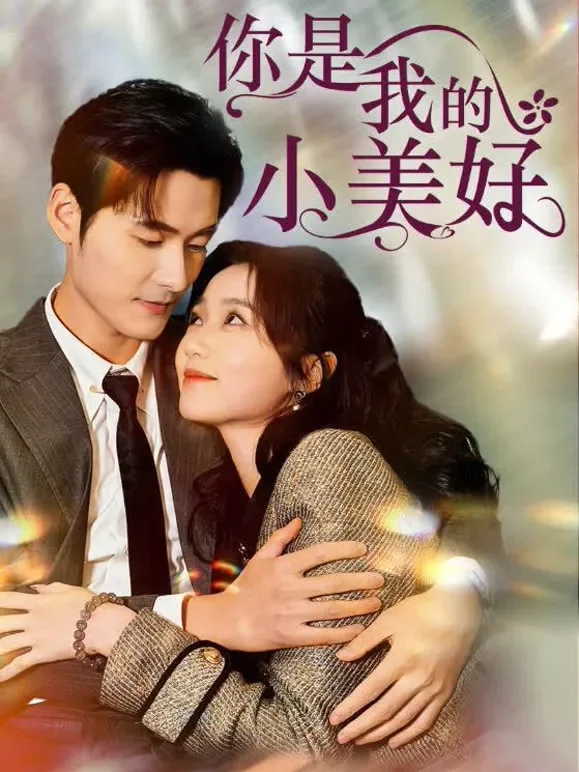 你是我的小美好短剧海报