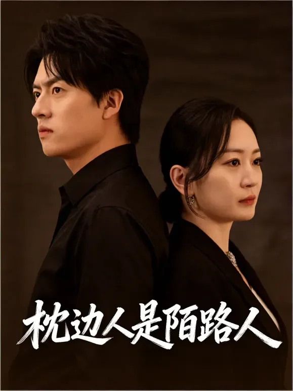 枕边人是陌路人短剧海报