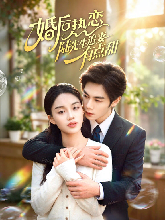 婚后热恋陆先生追妻有点甜