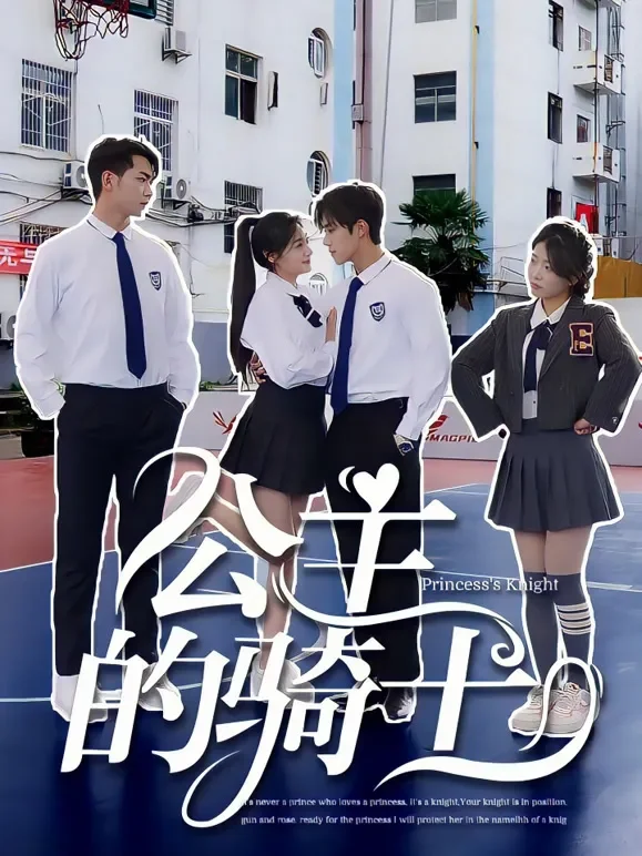 公主的骑士短剧海报