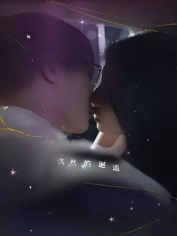 偶然的邂逅短剧海报