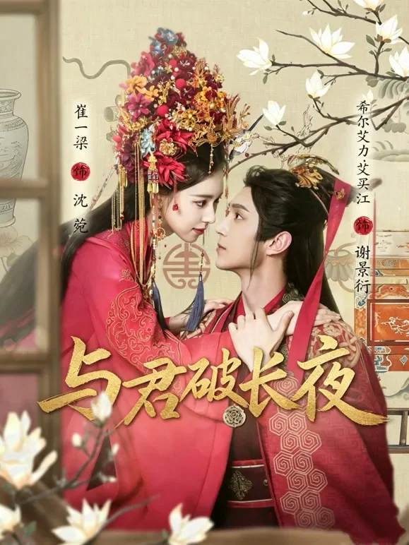 与君破长夜短剧海报