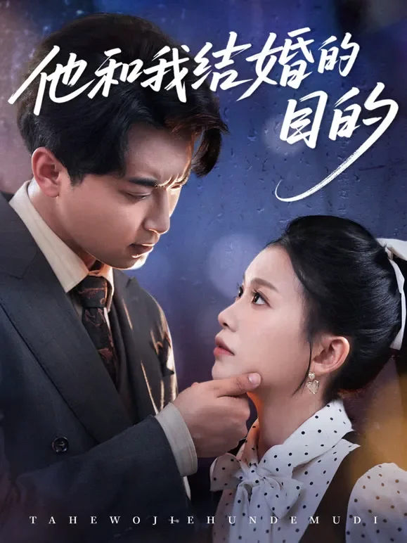 他和我结婚的目的短剧海报