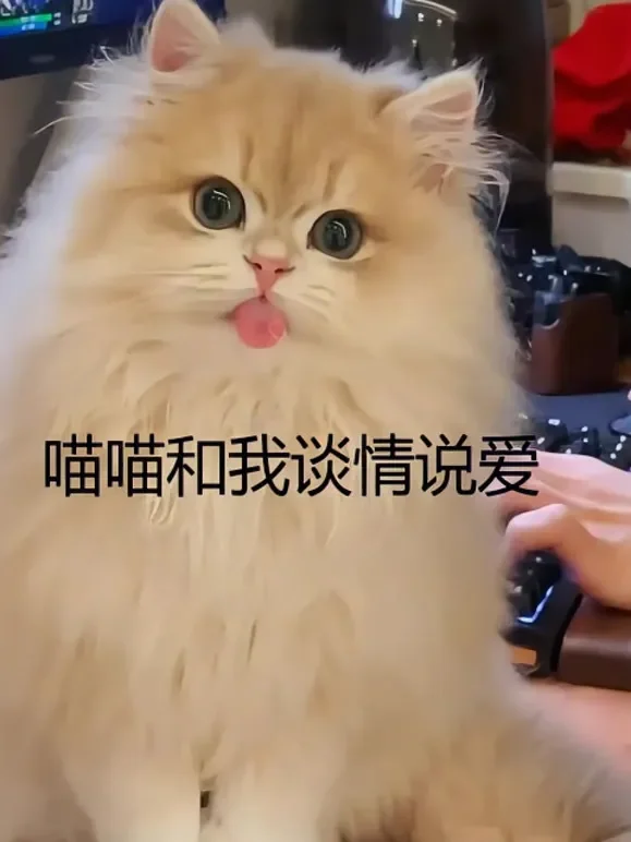 喵喵和我谈情说爱短剧海报