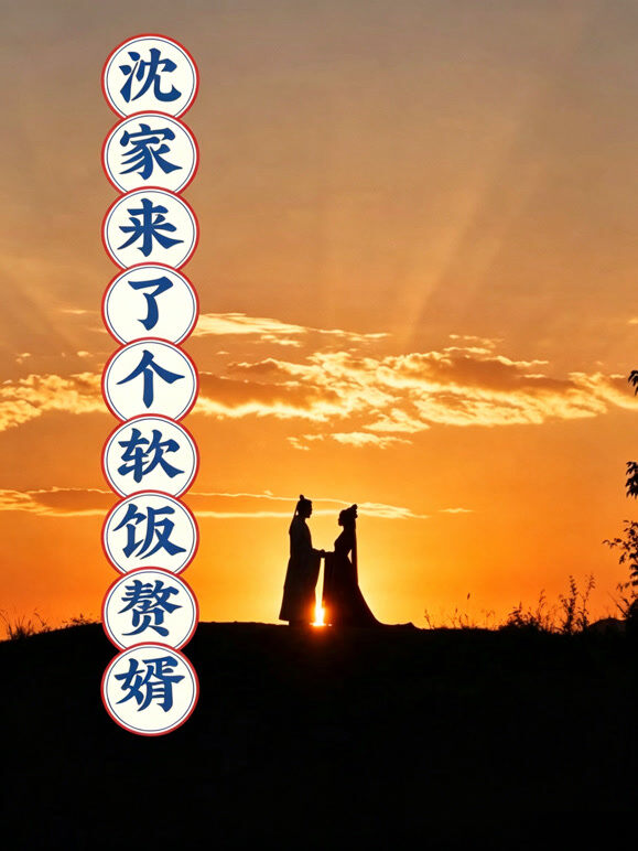 沈家来了个软饭赘婿