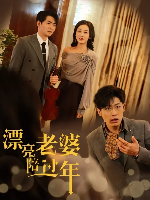 漂亮老婆陪过年短剧海报