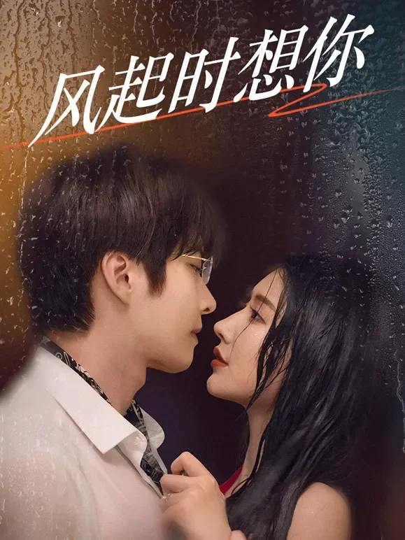 风起时想你短剧海报
