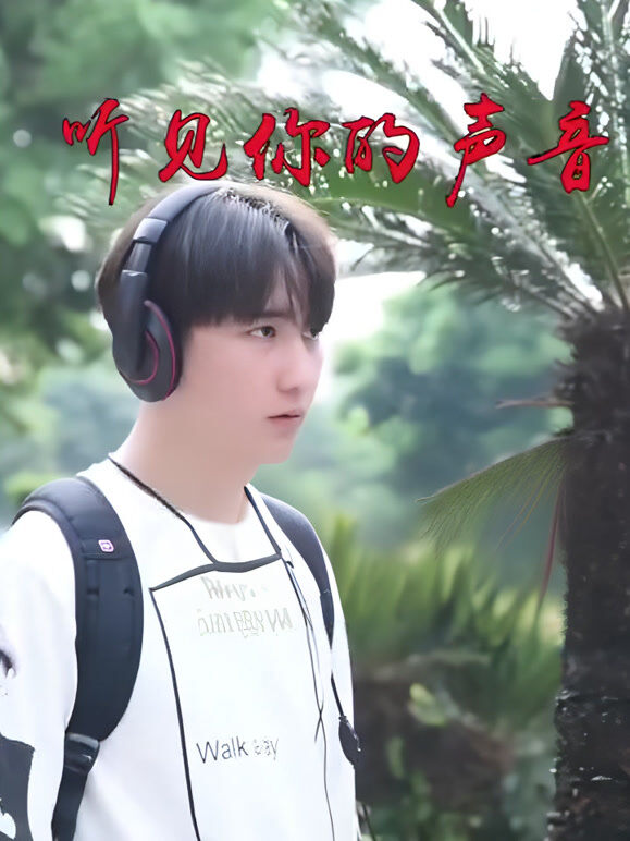 听见的声音