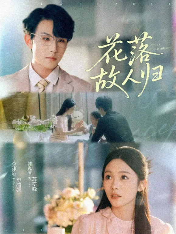 花落故人归短剧海报