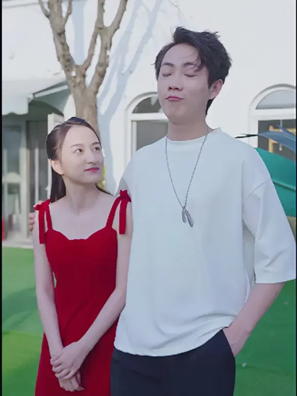 命运传承短剧海报