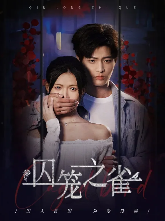 囚笼之雀短剧海报