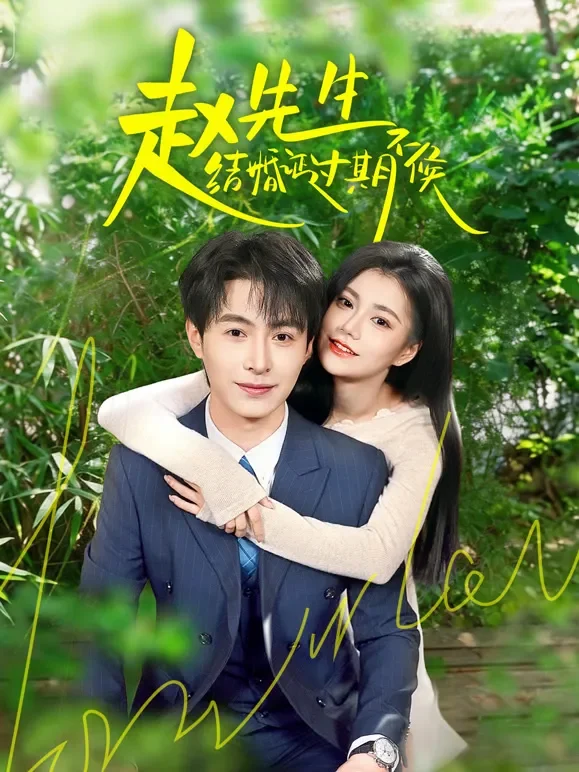 赵先生结婚证过期不候短剧海报