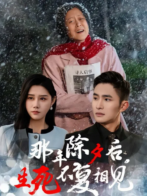 那年除夕后，生死不复相见短剧海报