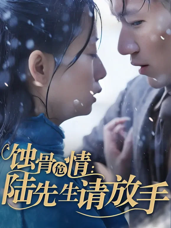 蚀骨危情：陆先生请放手短剧海报