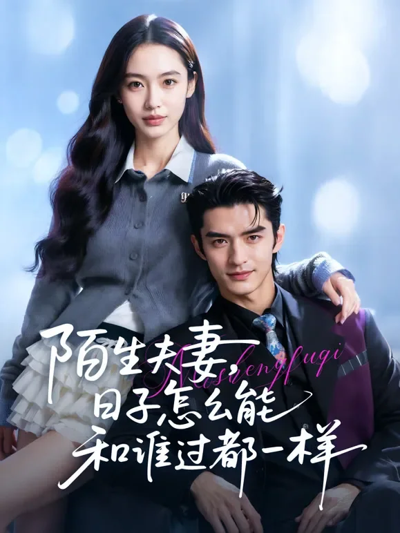 陌生夫妻，日子怎么能和谁过都一样短剧海报