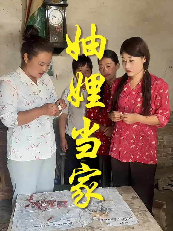 妯娌当家短剧海报
