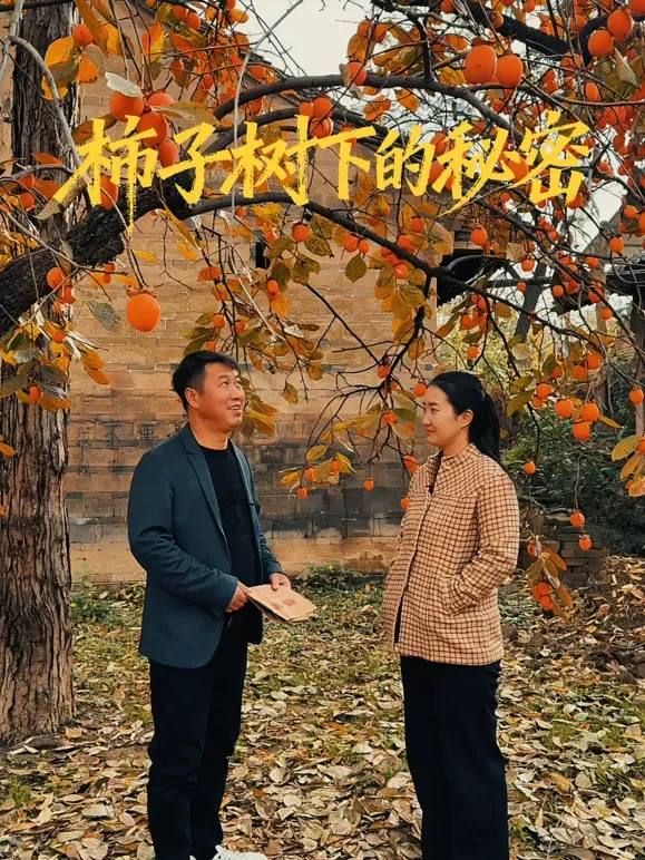 柿子树下的秘密短剧海报