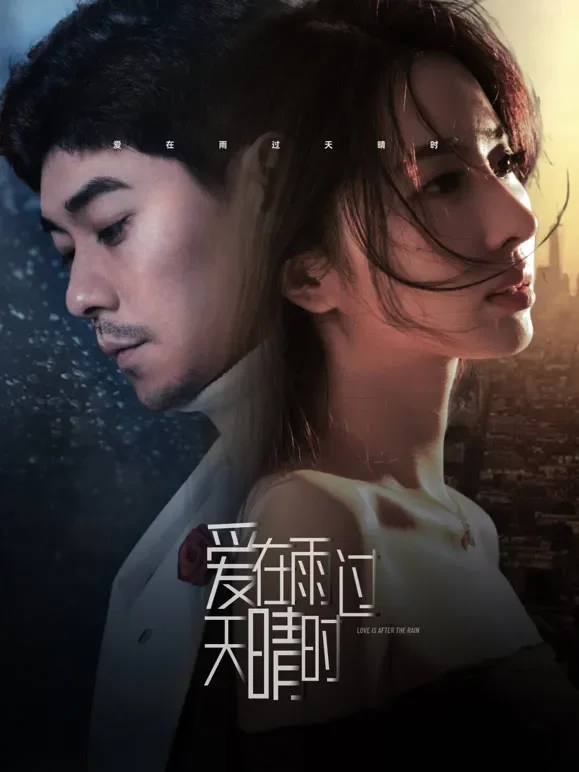 爱在雨过天晴时短剧海报