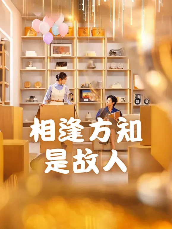 相逢方知是故人短剧海报