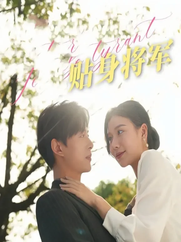 贴身将军短剧海报
