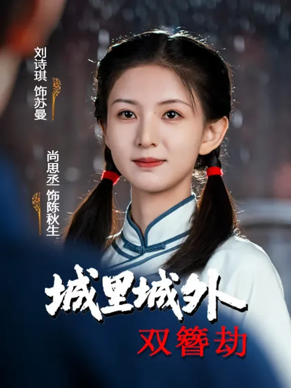 城里城外双簪劫短剧海报