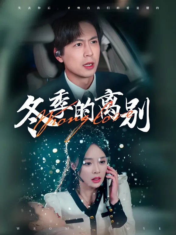 冬季的离别短剧海报