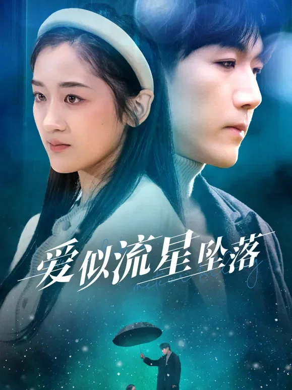 爱似流星坠落短剧海报
