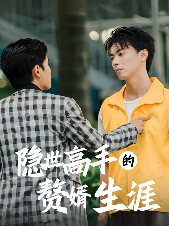 隐世高手的赘婿生涯