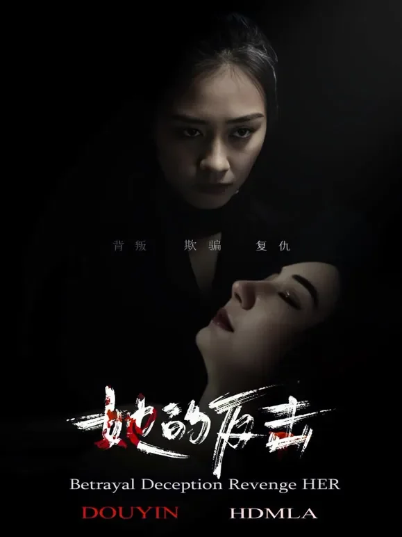 女人的反击短剧海报