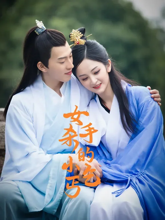 女杀手的小乞丐短剧海报